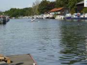 DSC06036.jpg