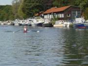 DSC06044.jpg