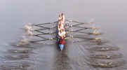 Close-up van Hemus-1