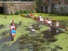dscf1241_small.jpg