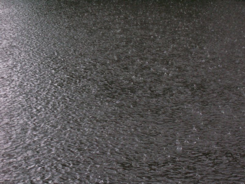 dscn4587.jpg