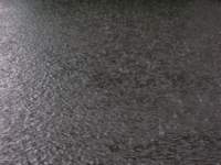 dscn4587_small.jpg