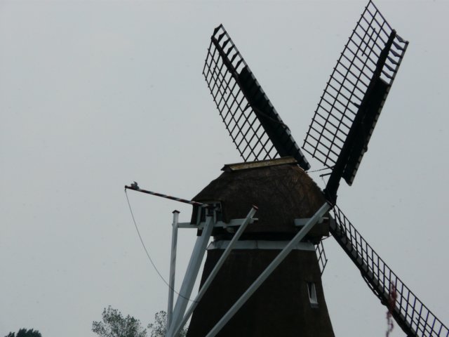 p1020125.jpg