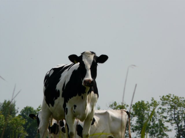 p1020129.jpg