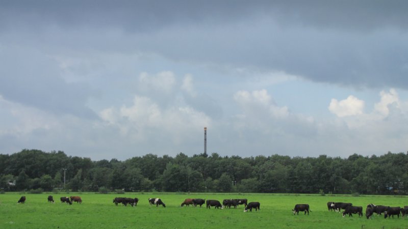img_1895.jpg