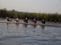 IMG 7337
