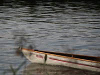 IMG 7450