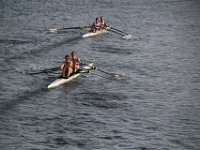 IMG 7675